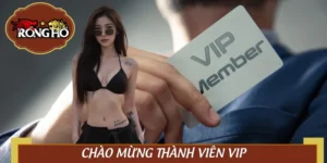 Chào Mừng Thành Viên VIP | Cách Gia Nhập Hội “Thương Gia”