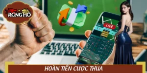 Hoàn Tiền Cược Thua – “Vốn Bảo Hiểm” Ngầm Của Dân Cá Cược