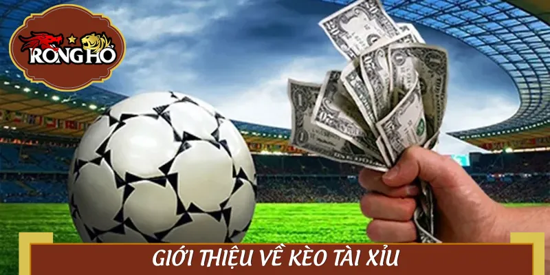 Tài xỉu là sân chơi của những người kiên nhẫn