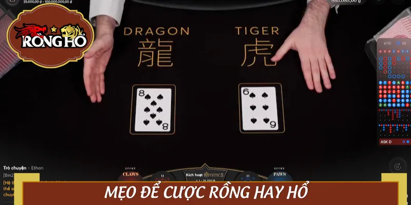 Mẹo đặt cược Rồng Hổ chuẩn từng nhịp tạo cú win liên hoàn